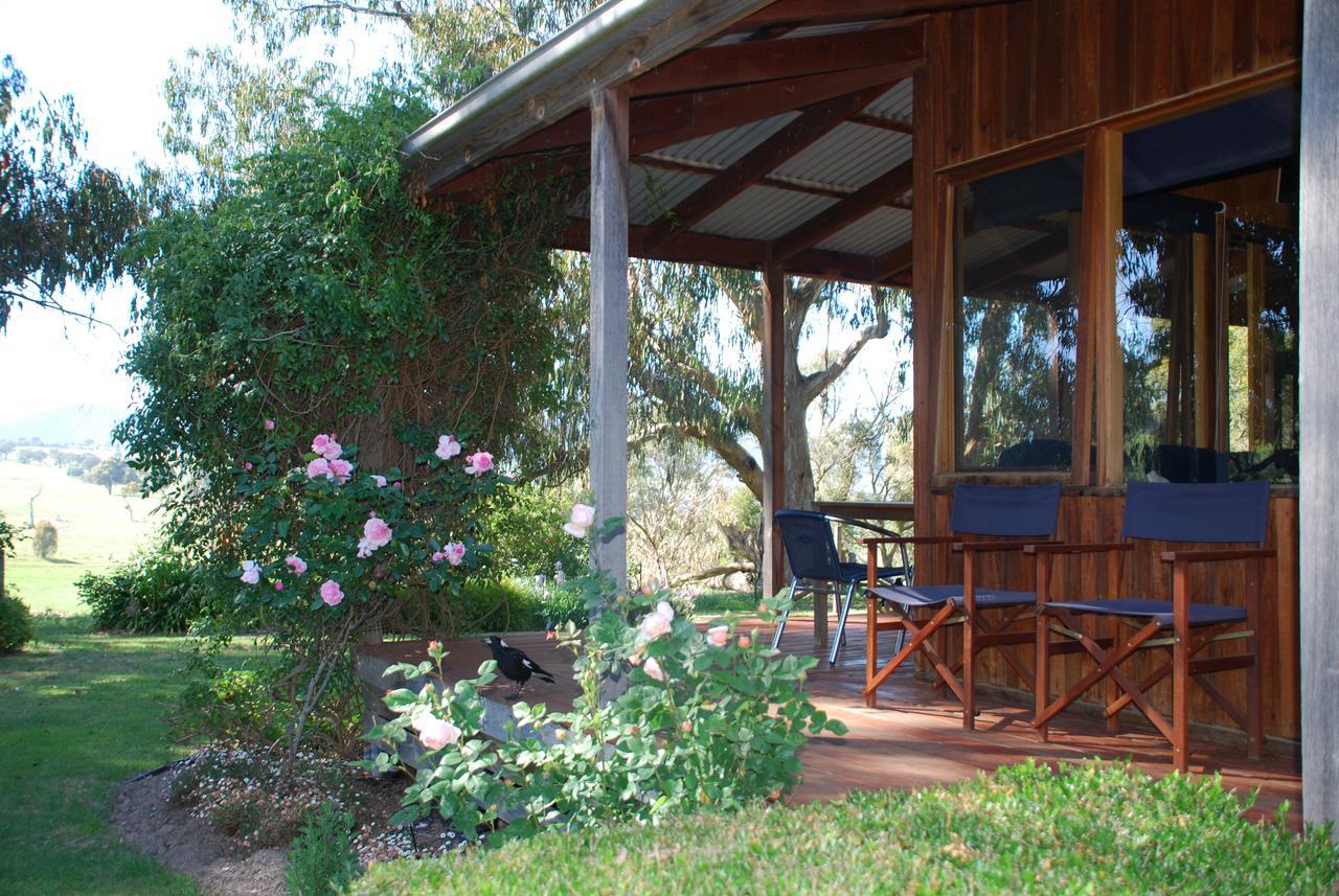 Bluegum Ridge Cottages Merrijig Extérieur photo