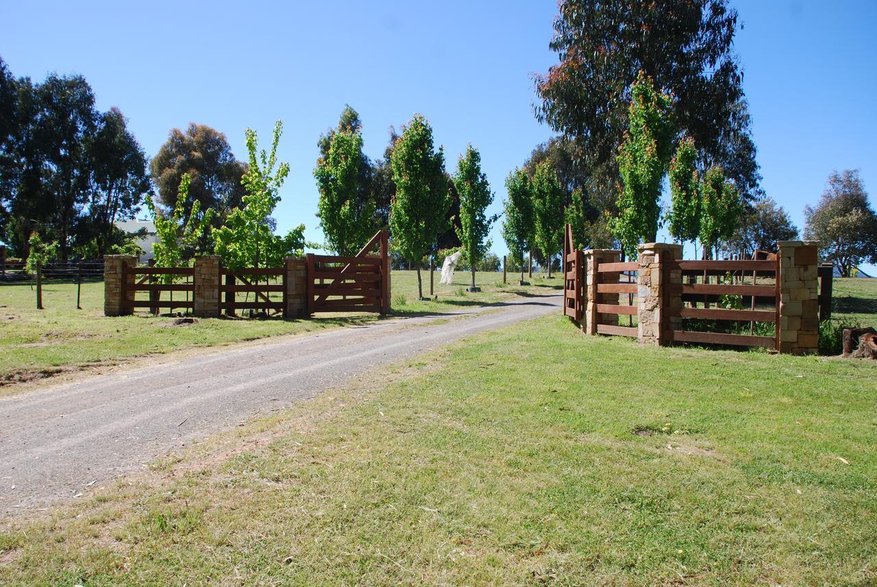 Bluegum Ridge Cottages Merrijig Extérieur photo