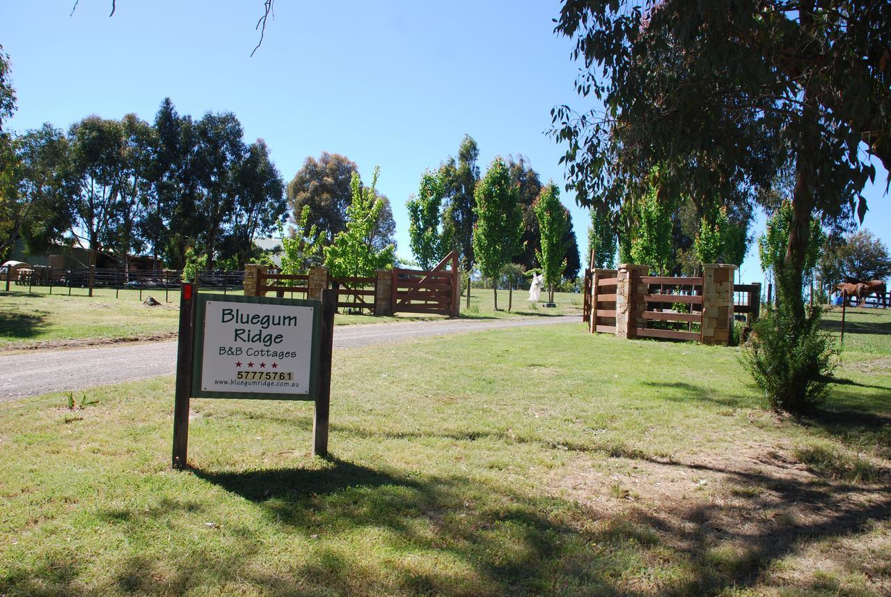 Bluegum Ridge Cottages Merrijig Extérieur photo