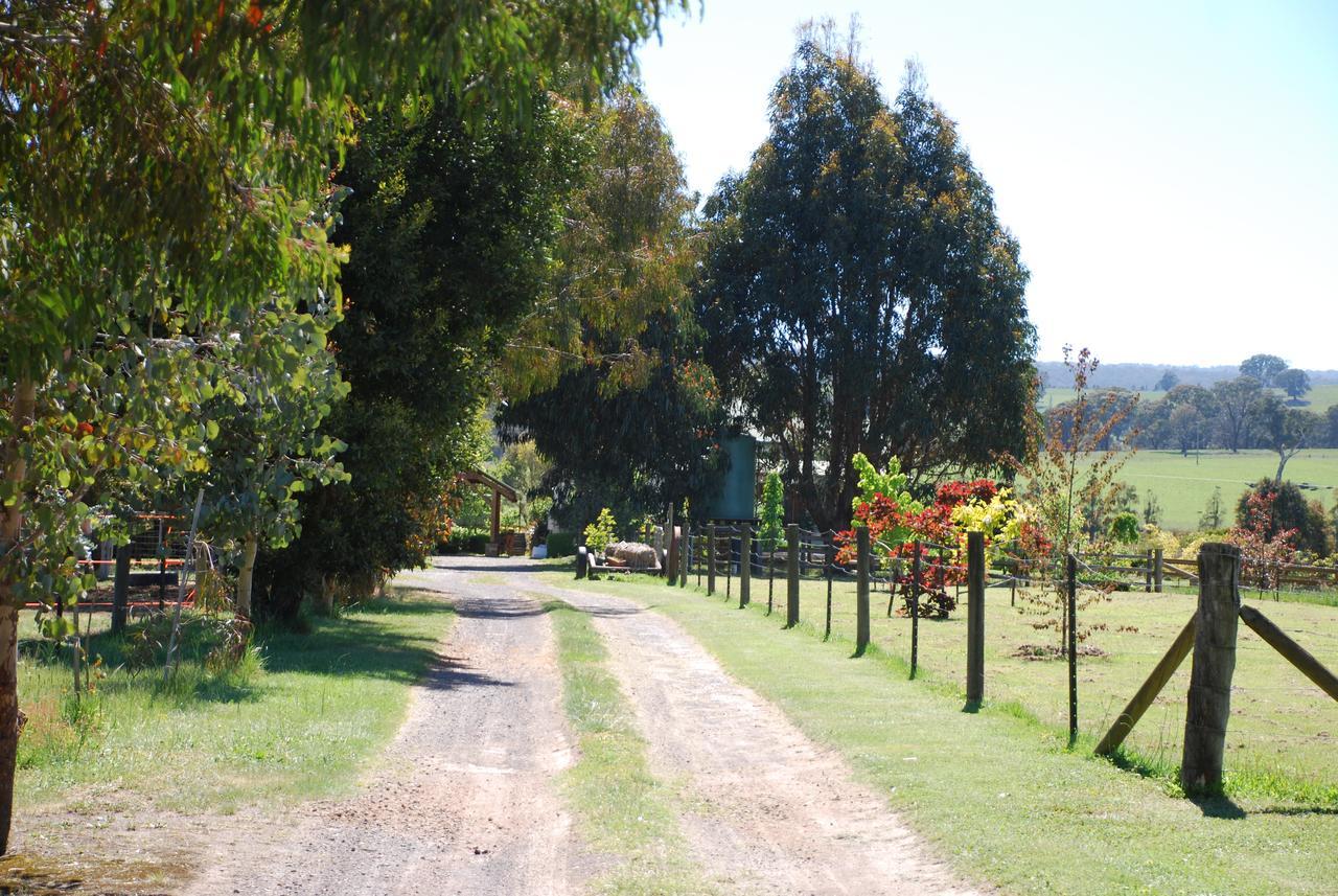 Bluegum Ridge Cottages Merrijig Extérieur photo