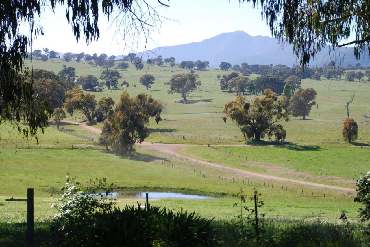 Bluegum Ridge Cottages Merrijig Chambre photo