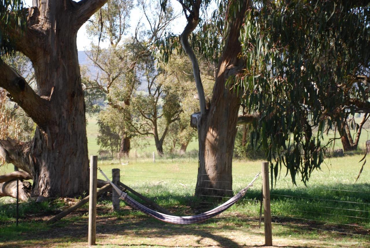 Bluegum Ridge Cottages Merrijig Chambre photo