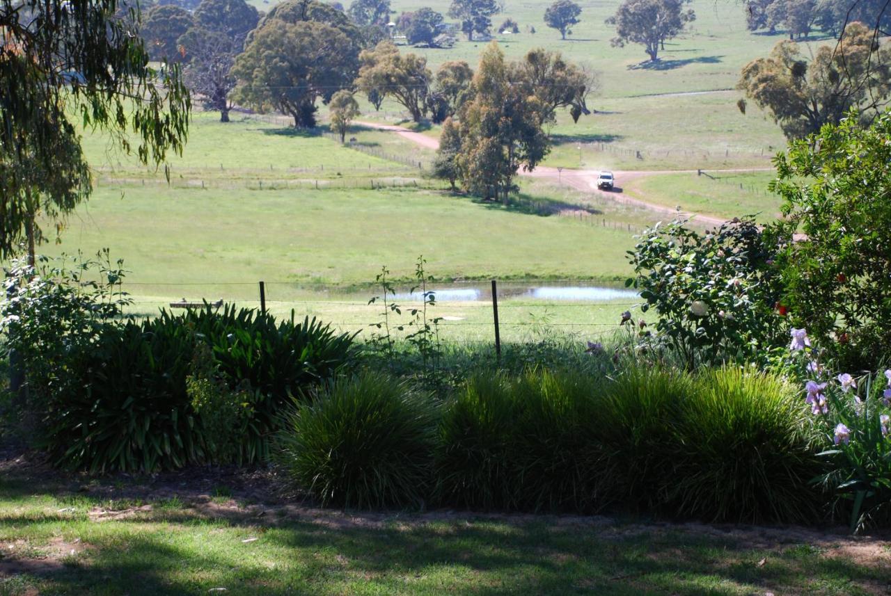 Bluegum Ridge Cottages Merrijig Chambre photo